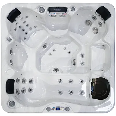 Avalon EC-849L hot tubs for sale in Arlington Heights
