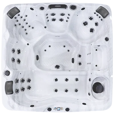 Avalon EC-867L hot tubs for sale in Arlington Heights