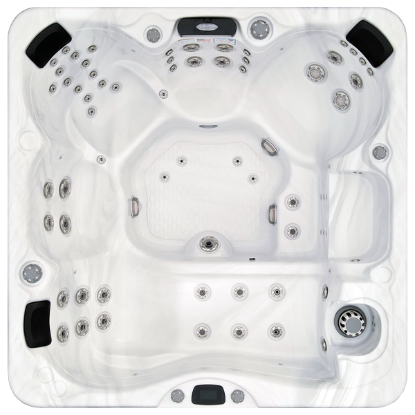 Avalon-X EC-867LX hot tubs for sale in Arlington Heights